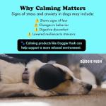 DOGGIE HUSH® Pro - Advanced Ear Protection for Dogs, Noise cancelling, designed for sound-sensitive dogs that need extra comfort and quiet (Large)