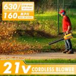 Leaf Blower Cordless (Upgraded) - 630CFM/160MPH, 21V Powerful Electric Cordless Leaf Blower with 2 x 4.0Ah Batteries and Charger, Battery Powered Leaf Blowers for Lawn Care, Patio, Yard, Dust, Snow