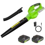 VERVEWAVE Leaf Blower Cordless, 20V Electric Blower with 2 X 2.0Ah Batteries and Fast Charger, 3 Speed Control, Handheld Lightweight Leaf Blower for Lawn Care, Patio, Garden Cleaning, etc