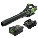 Greenworks 60V 700 CFM Brushless Leaf Blower, 5.0 Ah Battery and Rapid Charger