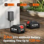 TaskStar 2-in-1 Pole Saw for Tree Trimming, 8 Inch Cordless Mini Chainsaw with Extension Pole, Brushless Motor, with 2 x 4.0 Ah Batteries & Charger, Auto Lubrication, 15 Ft Max Reach