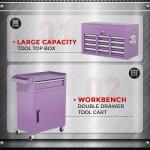 INTERGREAT Purple Tool Chest, 5-Drawer Rolling Storage Cabinet, Detachable Top Tool Box - Lockable Wheels, Garage & Workshop Barbershop Tool Cart