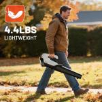 Litheli 20V Cordless Leaf Blower Battery Powered Leaf Blower, 2.0 Ah Battery Lightweight 2 Speed Axial Electric Blowers for Lawn Care, Patio, Snow, Dust, Blowing Leaves