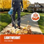 SENIX 6 AMP Handheld Electric Leaf Blower, Up to 260 CFM and 155 MPH, Lightweight, 120V (BLE06-L)
