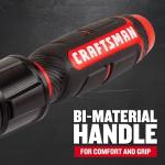 CRAFTSMAN Torque Wrench, 3/8" Drive (CMMT99433)