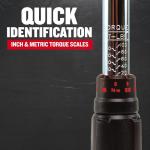 CRAFTSMAN Torque Wrench, 3/8" Drive (CMMT99433)