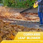 Leaf Blower, Electric Cordless Leaf Blower with 2 Batteries and Charger, 2 Speed Mode, Lightweight Leaf Blowers for Blowing Leaves, Lawn Care, Patio Cleaning and Dust