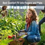 DS Safety Work Gloves, Spandex Liner Nitrile Coated Work Gloves, NP1001 (Medium-Pack of 3, 3 Pairs)