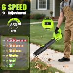 Leaf Blower Cordless,Electric Leaf Blower with 2 4.0Ah Battery Powered and Fast Charger, Cordless Blowers for Lawn Care and Car Dust Snow Blower,6 Speed Control