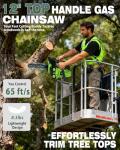 WTHW 25.4CC Top Handle Chainsaw – 12 Inch Gas Powered Arborist Saw for Tree Climbing & Pruning – Lightweight 2-Cycle Engine, Easy Start System & Auto Oiling (WT22)