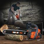 62cc Gas Chainsaw, 20 & 24 Inch Professional Chainsaw with 2-Cycle Engine & Anti-Vibration System, Quick Start Technology for Tree Cutting, Firewood, Logging (62CC 20in+24in)