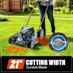 SENIX 144 cc Gas Lawn Mower, 21 inch 2-in-1 Push with Mulching and Side Discharge, 4-Cycle Engine, 6 Position Cutting Height Adjustment for Yard and Garden