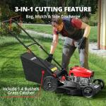 AMERISUN 21" Gas Lawn Mower, 3-in-1 Gas Powered Push Mower, 144cc 4-Stroke OHV Engine, 6 Height Adjustment, Efficient Steel Deck, 1.4 Bushel Grass Catcher with Bagging, Mulching & Side Discharge
