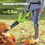 Leaf Blower Cordless with 2x2.0AH Batteries and Charger 21V Electric Leaf Blower Lightweight Battery Powered Small Leaf Blowers for Lawn Care Patio Garden Yard(only for Small Jobs)