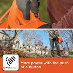BLACK+DECKER 3-in-1 Electric Leaf Blower/Vacuum