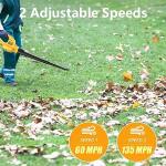 20V Cordless Leaf Blower Battery Powered Leaf Blower 290CFM/135MPH | Dual Batteries & Fast Charger | Lightweight, Balanced Design for Yard, Patio, Garage | 1-Year Warranty