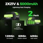 Leaf Blower Cordless, 650CFM Electric Leaf Blower with 2 x 5.0Ah Batteries and Charger, 6-Speed Modes, Brushless Motor, Powerful Blowers for Lawn Care, Yard, Patio, Dust, Blowing Leaves