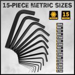 31-Piece Hex Key Set with Torque Handle