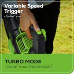 Greenworks 80V (770 CFM/190 MPH) Brushless Cordless Leaf Blower, Commercial-Grade Power for Autumn Leaf Composting, Spring Pollen Cleanup and Post-Snow Debris, Includes 4.0Ah Battery & Rapid Charger