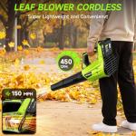 Leaf Blower Cordless, Leaf Blower with Battery and Charger - 2 Speed Modes, 2 Batteries, 20V Powerful Lightweight Electric Blowers for Blowing Leaves, Lawn Care, Patio Cleaning and Dust, Green