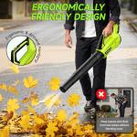 Leaf Blower Cordless, Leaf Blower with Battery and Charger - 2 Speed Modes, 2 Batteries, 20V Powerful Lightweight Electric Blowers for Blowing Leaves, Lawn Care, Patio Cleaning and Dust, Green