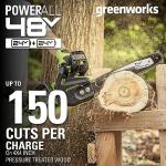 Greenworks 48V 40.6cm Cordless Chainsaw with Batteries