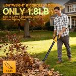 Leaf Blower Cordless with 2 Batteries and Fast Charger, 210 MPH Battery Powered Blower with 3 Nozzles, 3 Speed Modes, Lightweight & Small Electric Leaf Blowers for Lawn Care, House, Leaves, Dust, Snow