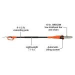Black+Decker 6.5-Amp 10-Inch Pole Saw