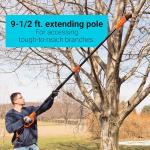 Black+Decker 6.5-Amp 10-Inch Pole Saw