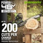 Greenworks 48V (2 x 24V) 14" Brushless Cordless Chainsaw (Great For Tree Felling, Limbing, Pruning, and Firewood / 125+ Compatible Tools), (2) 4.0Ah Batteries and Dual Port Rapid Charger Included