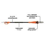 Black+Decker 6.5-Amp 10-Inch Pole Saw
