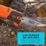 Black+Decker 6.5-Amp 10-Inch Pole Saw