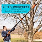 Black+Decker 6.5-Amp 10-Inch Pole Saw