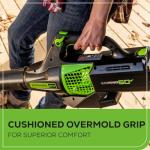 Greenworks 60V 450 CFM Cordless Leaf Blower, 2.0 Ah Battery and Rapid Charger