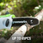 GreenWorks Cordless G-Max Pole Saw