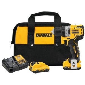 DEWALT XTREME 12V MAX Brushless Power Tool