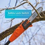BLACK+DECKER 20V MAX Cordless Pole Saw Kit