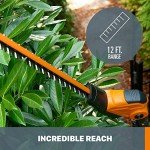 Worx 20V Cordless Hedge Trimmer with Extension Pole