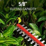 Greenworks 40V Cordless 20" Hedge Trimmer Bundle