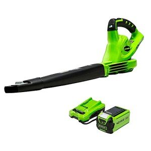 Greenworks 40V Lightweight Leaf Blower and Sweeper