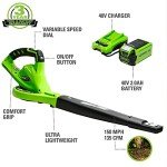 Greenworks 40V Lightweight Leaf Blower and Sweeper