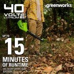 Greenworks 40V Lightweight Leaf Blower and Sweeper