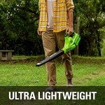 Greenworks 40V Lightweight Leaf Blower and Sweeper