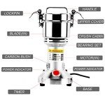 Homend 300g High-Speed Electric Grain Mill Grinder