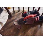 CRAFTSMAN 20V MAX Cordless Detail Sander Tool