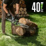 EGO Power+ 16-Inch Cordless Chainsaw with Battery