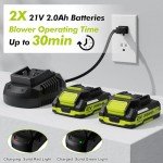 Cordless 21V Leaf Blower with 2 Batteries