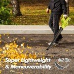Cordless 21V Leaf Blower with 2 Batteries