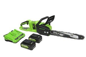 Greenworks 48V 40.6cm Cordless Chainsaw with Batteries