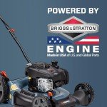 SENIX 21-Inch Gas Push Lawn Mower with Briggs & Stratton
